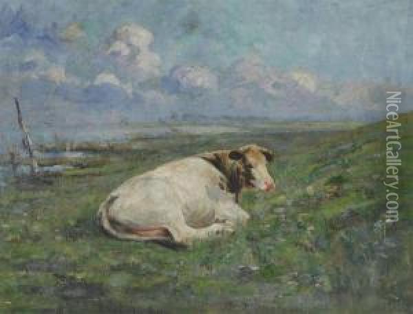 Cow Lying On The River Bank Oil Painting - Henri Van Muyden