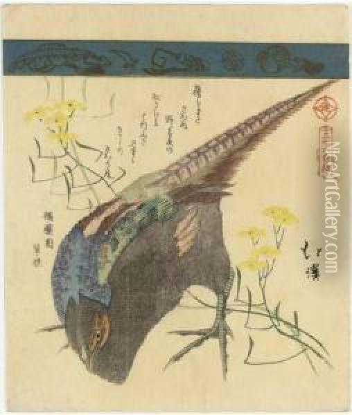 Pheasant With Yellow Flowers, 
From The Series Sanjurokkin Tsuzuki(collection Of Thirty-six Birds And 
Animals) Oil Painting - Toyota Hokkei