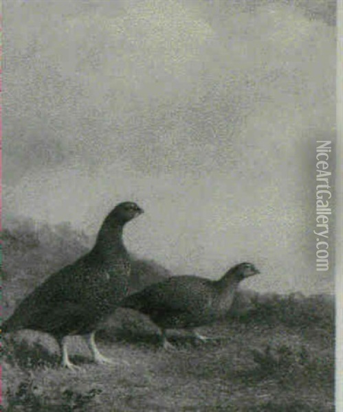 A Brace Of Grouse Oil Painting - Abel Hold