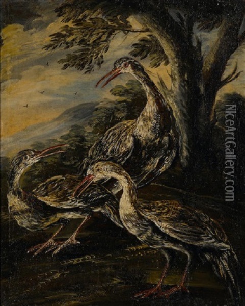 A Study Of Birds With A Companion Painting (a Pair) Oil Painting - Giovanni (Crivellino) Crivelli
