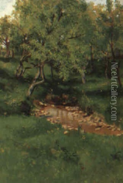 Baumlandschaft Mit Kleinem Tumpel Oil Painting - Hermine Von Janda