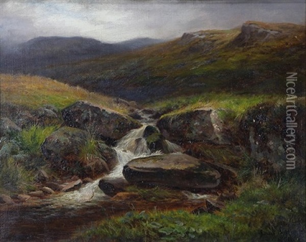 Padley Brook, North Derbyshire Oil Painting - Louis Bosworth Hurt