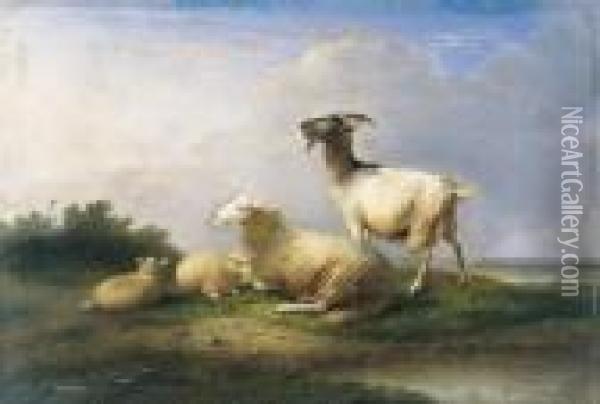 Schapen En Geit In Een Landschap Oil Painting - Franz van Severdonck