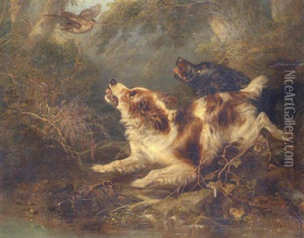 Spaniels Flushing A Woodcock Oil Painting - George Armfield