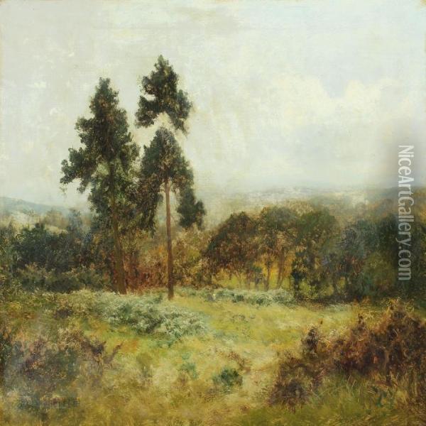 Scottish Landscape Oil Painting - Daniel Sherrin