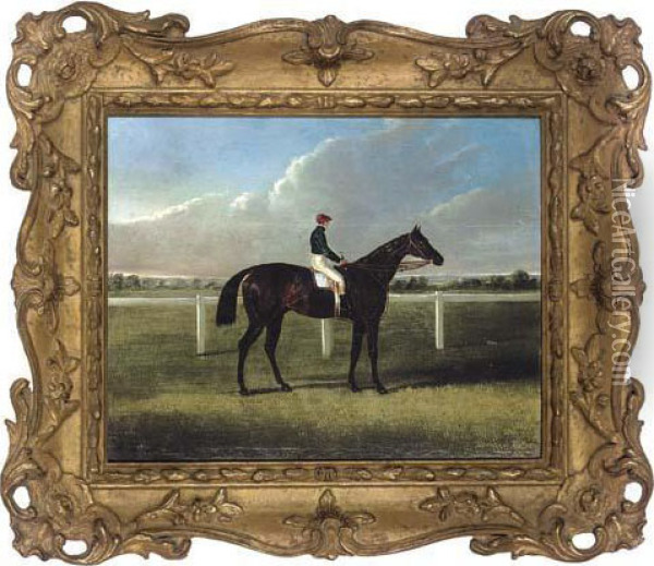 Portrait Of A Racehorse, With Jockey Up Oil Painting - John Frederick Herring Snr