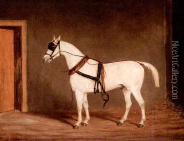Horse On Harness Oil Painting - James (of Bath) Loder