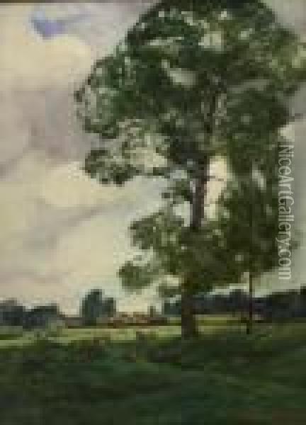 Trees In Landscape Oil Painting - Mary Weatherill