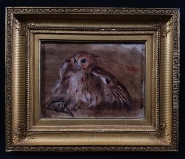 Study Of Trapped Owl Oil Painting - William Holbrook Beard