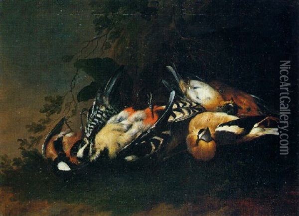 Nature Morte Aux Oiseaux Oil Painting - Johann Adalbert Angermayer