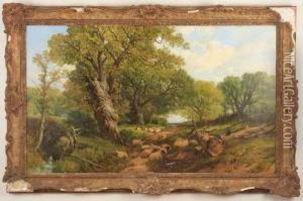Arundel Park, Sussex Oil Painting - Frederick William Hulme