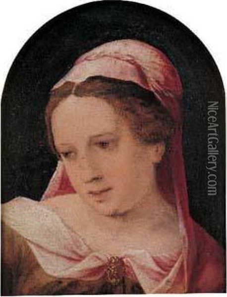 Portrait De Femme Au Voile Rose Oil Painting - Jan Sanders Van Hemessen