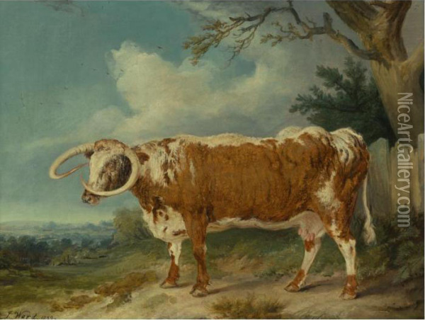 Dam Of The Bull, Croxall Oil Painting - James Ward