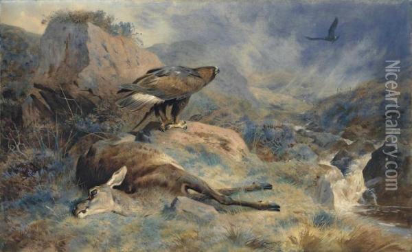 The Lost Hind Oil Painting - Archibald Thorburn