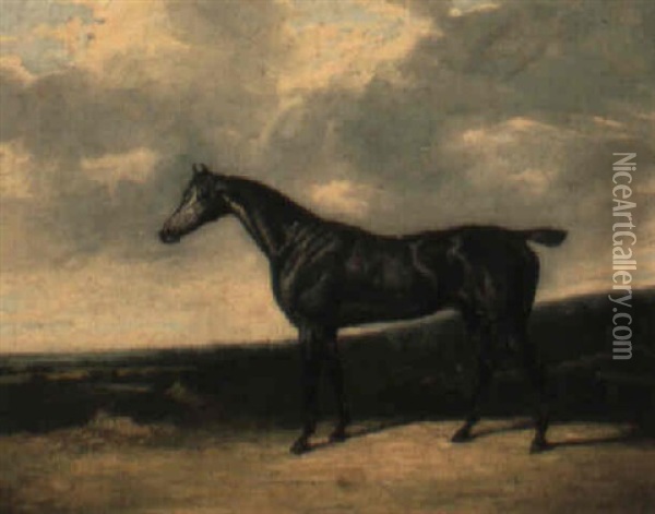 A Grey Racehorse In A Landscape Oil Painting - David (of York) Dalby