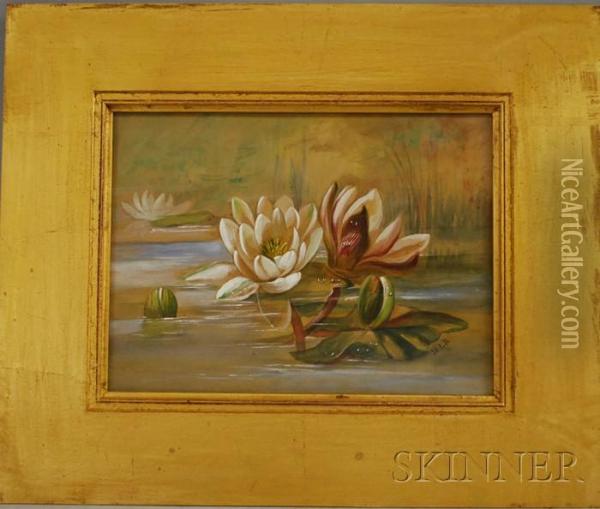 White Lotus Flowers Oil Painting - Matilde Laverrerie Barreda