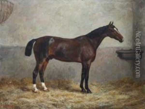 Portrait Of A Racehorse In A Stable Oil Painting - Frank Paton