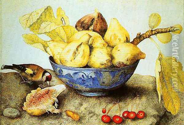 Chinese Cup with Figs Cherries and Goldfinch Oil Painting - Giovanna Garzoni
