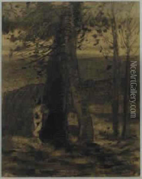 Homme Dans Les Bois Oil Painting - Odilon Redon