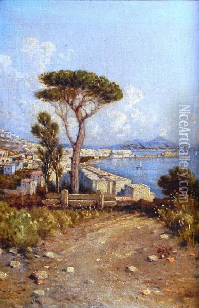 Neapolitan Coastal View Towards Vesuvius Oil Painting - Giuseppe Carelli
