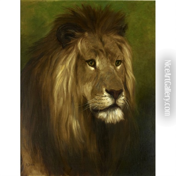 Lion Majesty Oil Painting - Harry Dixon