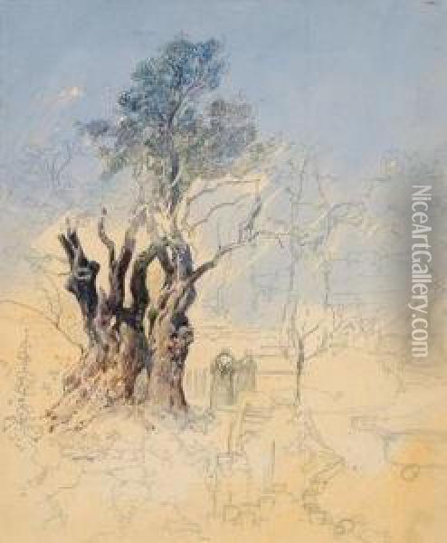 Garten Von Gethsemane, Jerusalem Oil Painting - Friedrich Frank