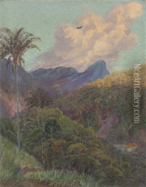 Sudamerikanische Landschaft Oil Painting - Pablo (Poul) Schouboe