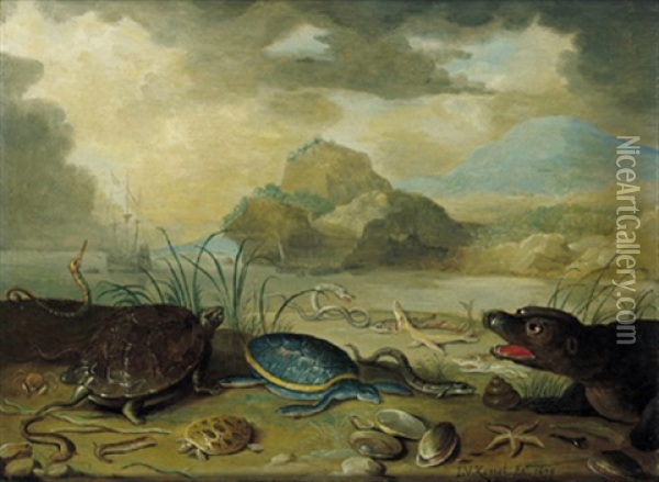 Algier Oil Painting - Jan van Kessel the Elder