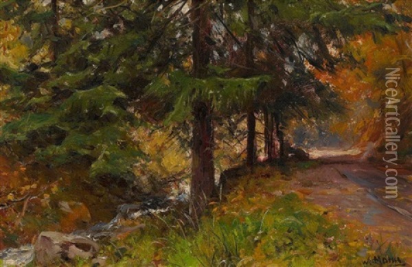 Waldweg Im Gebirge Oil Painting - Walter Moras