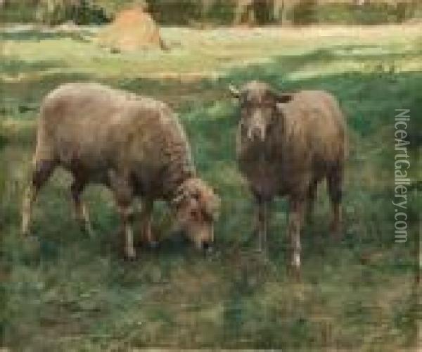 Moutons Dans Une Prairie Oil Painting - Julien Dupre