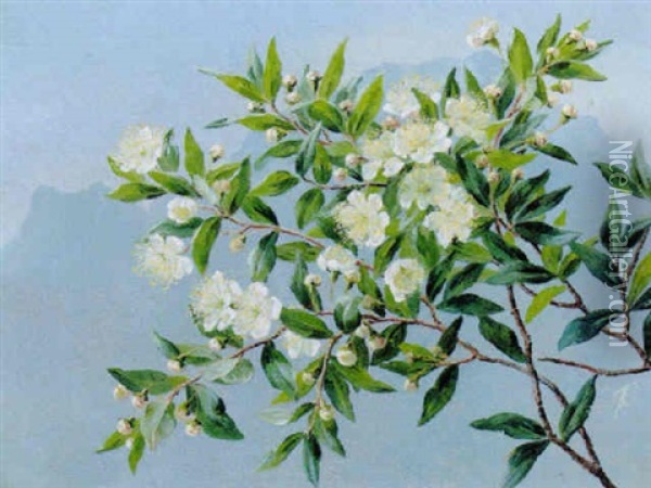 Blomstrende Frugtgren, I Baggrunden Den Blanende Bjerge Oil Painting - Anthonie Eleonore (Anthonore) Christensen