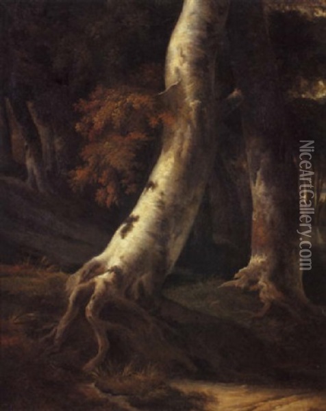 Tronc D'arbre Dans Un Sous-bois Oil Painting - Achille Etna Michallon