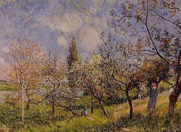Orchard In Spring Oil Painting - Alfred Sisley