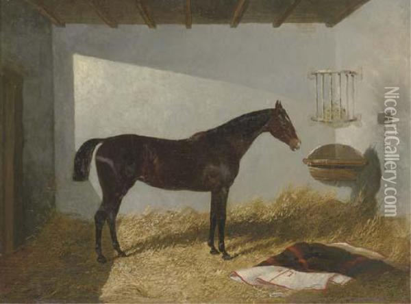 Calico, A Bay Hunter In A Stall Oil Painting - John Frederick Herring Snr