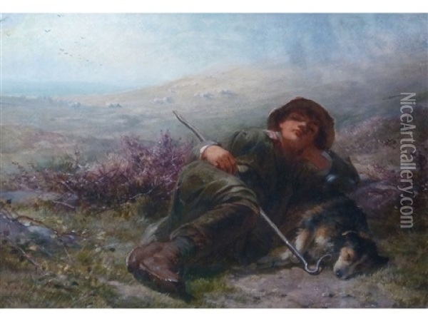 Shepherd Boy Sleeping Oil Painting - James John Hill