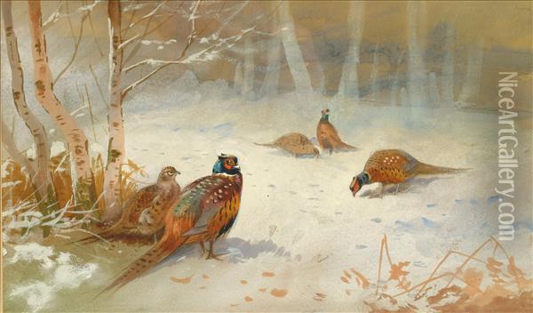 Partridge In The Snow Oil Painting - Archibald Thorburn