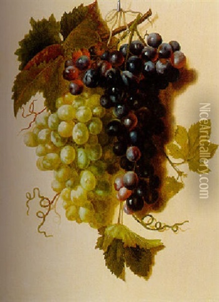Bunches Of Green And Red Grapes Suspended From A Rope Oil Painting - Joseph-Laurent Malaine