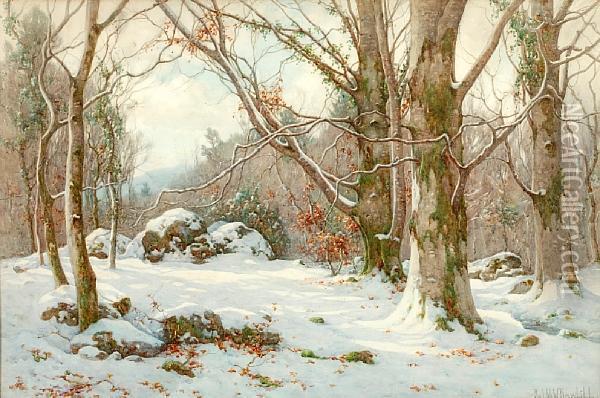 A Sunlit Snowy Woodland Glade Oil Painting - Ralph William Bardill