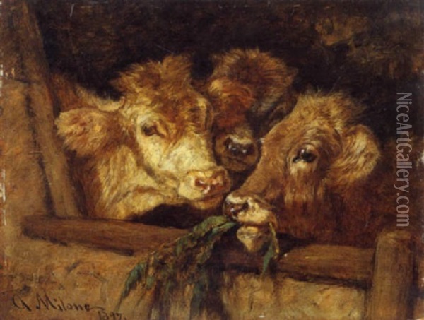 Vitelli Nella Stalla, 1897 Oil Painting - Antonio Milone