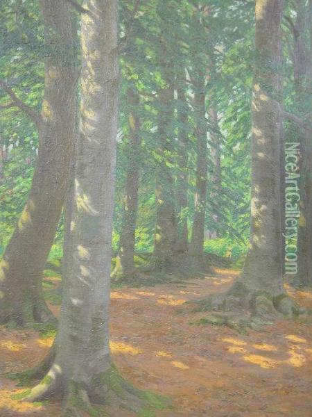 Sunlight Through Pines And Other Tree's Oil Painting - George Hering