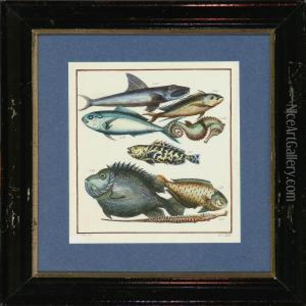 Two Plates With Fish Oil Painting - J.V. Schley
