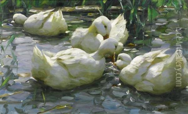 Four Ducks In The Water Oil Painting - Alexander Max Koester