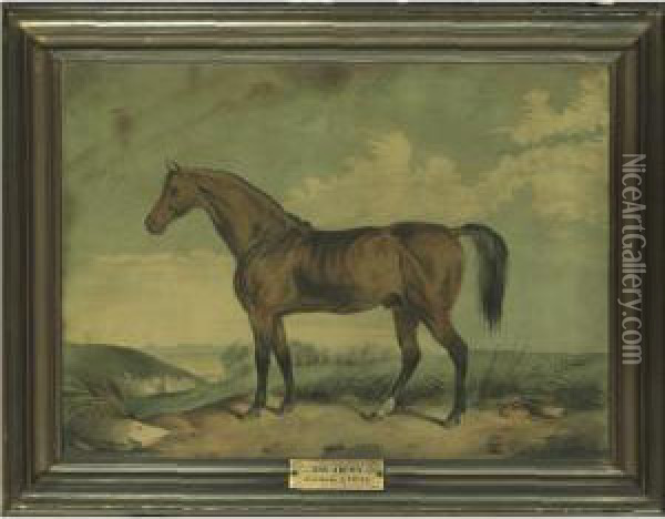 Sir Archy Oil Painting - Edward Troye