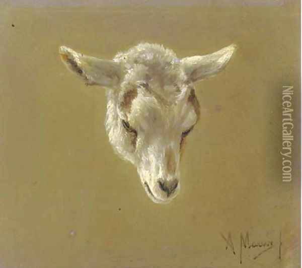 Head of a lamb - a study Oil Painting - Anton Mauve