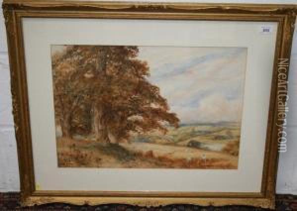 Extensive Landscape View With Harvest Scene Oil Painting - Fred Hines