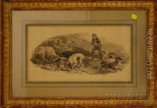 Shepherd Defending His Flock Oil Painting - Felix Octavius Carr Darley