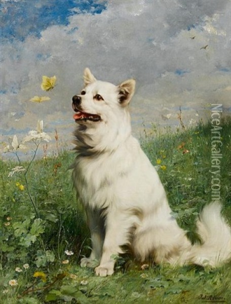 Portrait Of A German Spitz Oil Painting - Julius Adam the Younger