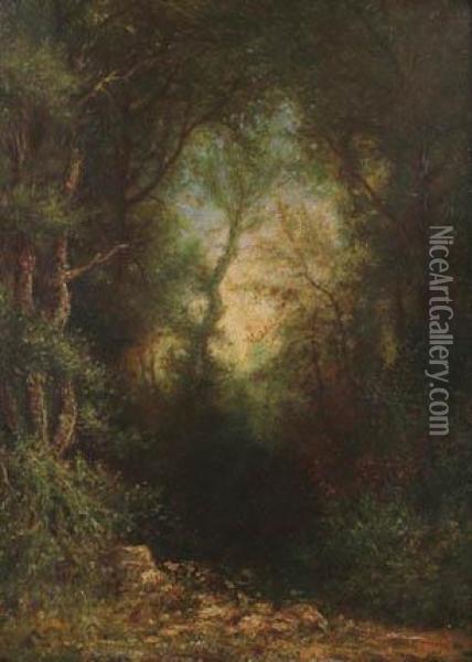 Forest Interior Oil Painting - Julius Eduard Marak