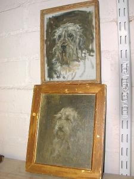 Head Study Of A Bearded Collie Oil Painting - Robert L. Alexander