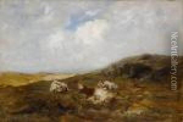 Three Cows Lying In Bent At Shore Oil Painting - Nathaniel Hone